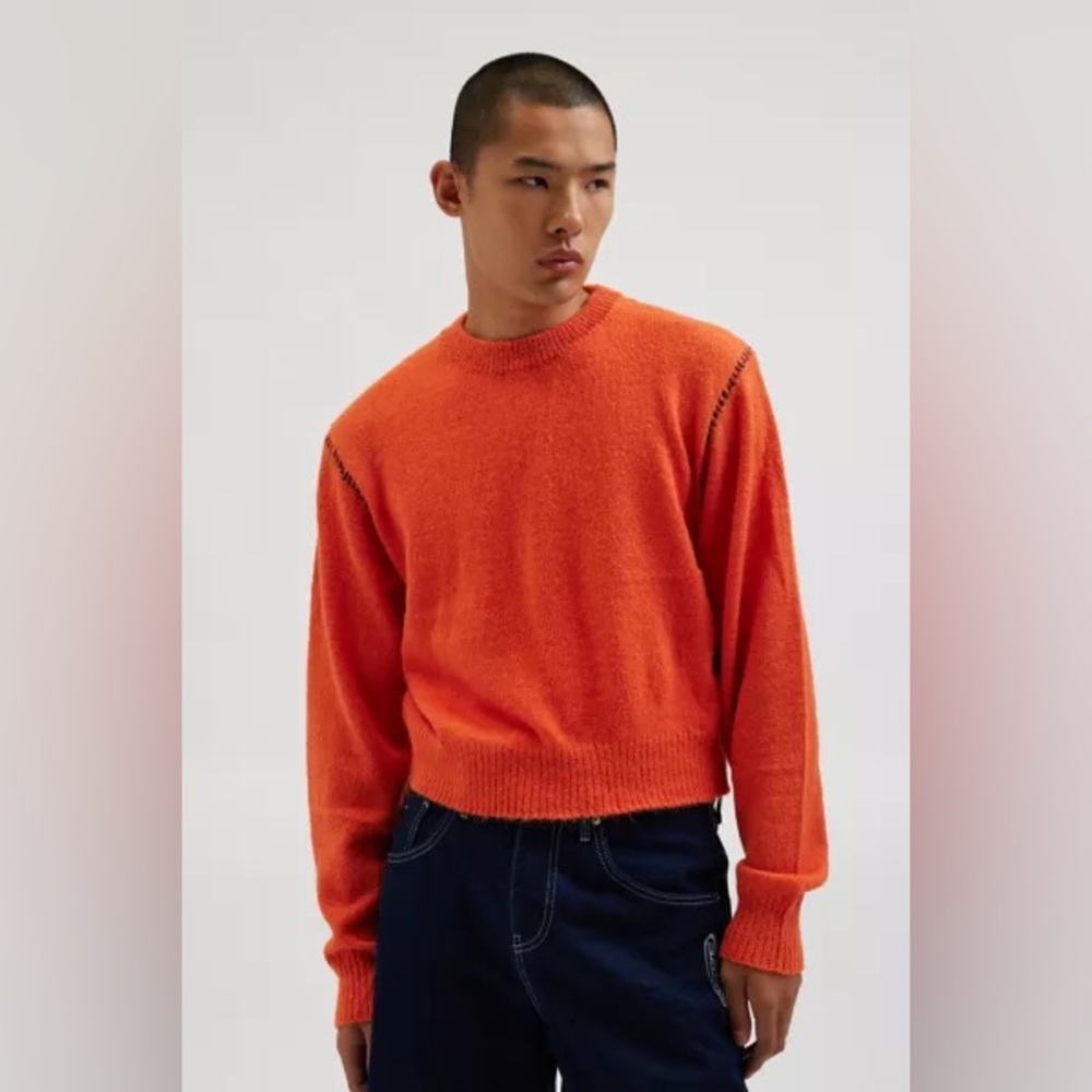 Urban Outfitters / UO Hudson Shrunken Crew Neck Sweater